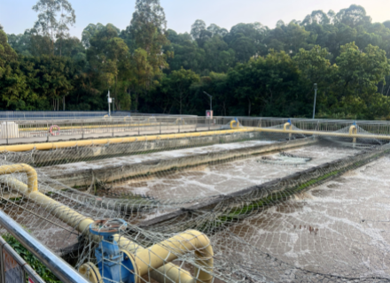 腾博会官网 - 诚信为本,专业服务!